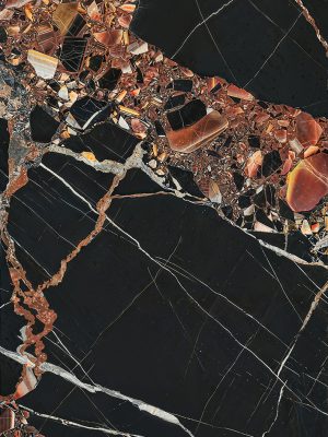 DZ61537_DM