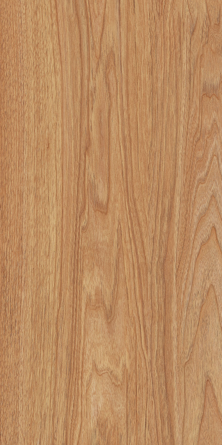 DZ50034_0