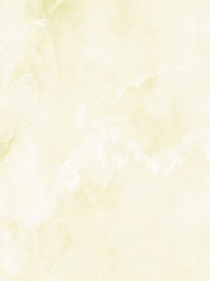 RB5248_1_MC