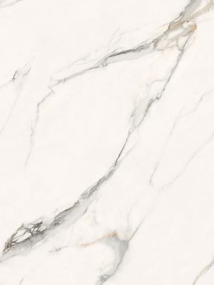DZ62949_NP