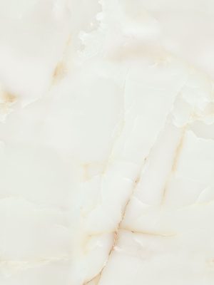 DZ63007_MN
