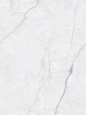 DZ63009_MN