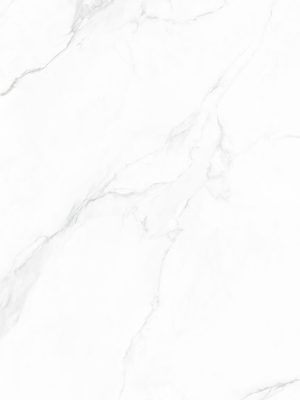 DZ63054_NP