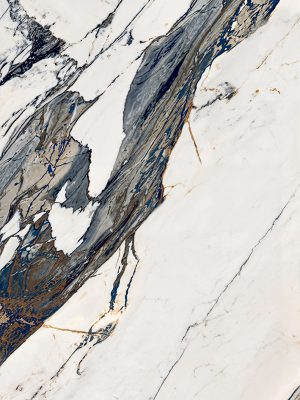 DZ58890_0