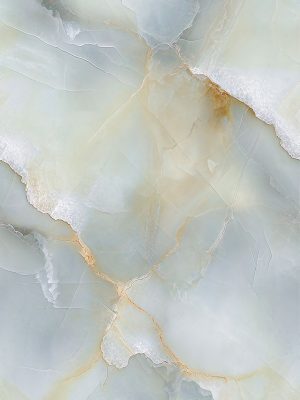 DZ62987_DM