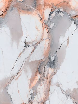 DZ62992_DM
